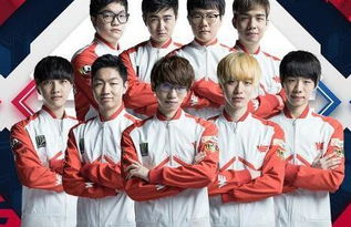 术与激情 术与激情